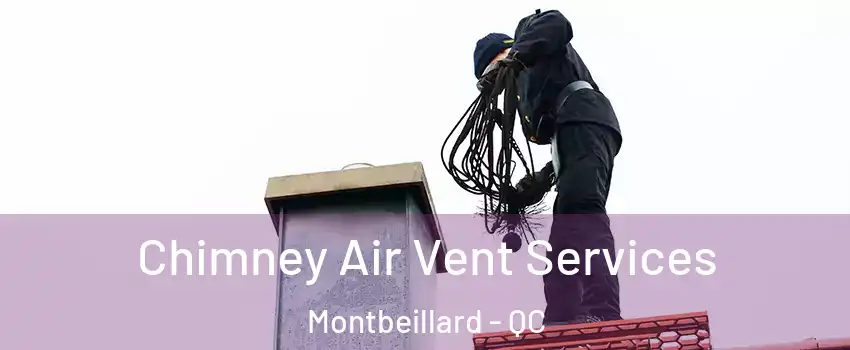  Chimney Air Vent Services Montbeillard - QC