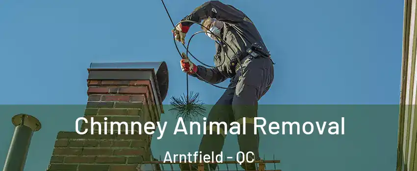 Chimney Animal Removal Arntfield - QC