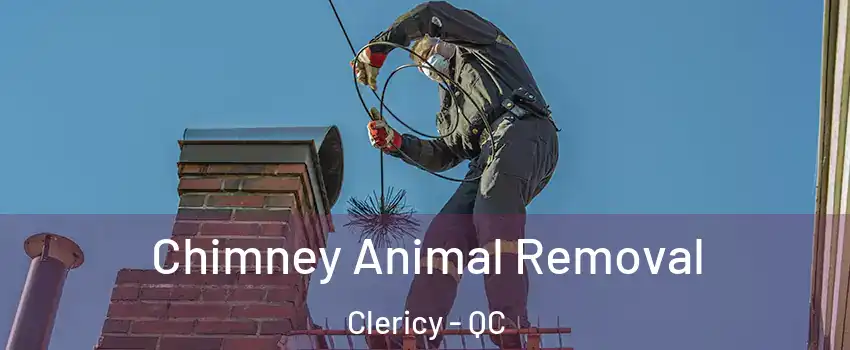  Chimney Animal Removal Clericy - QC