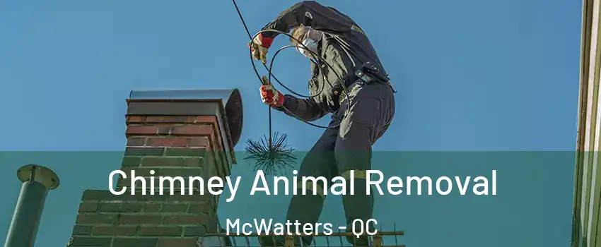 Chimney Animal Removal McWatters - QC