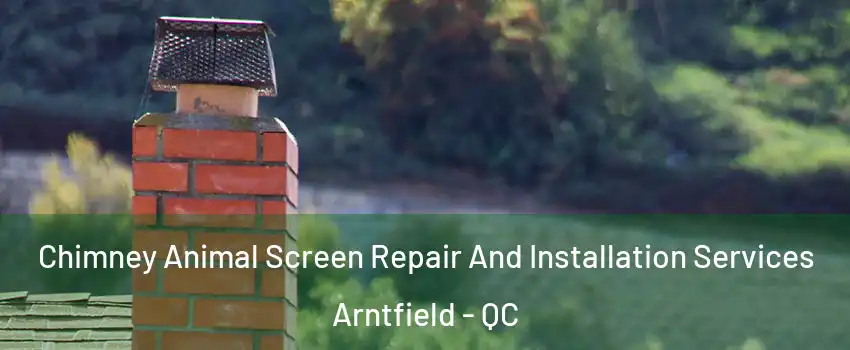 Chimney Animal Screen Repair And Installation Services Arntfield - QC