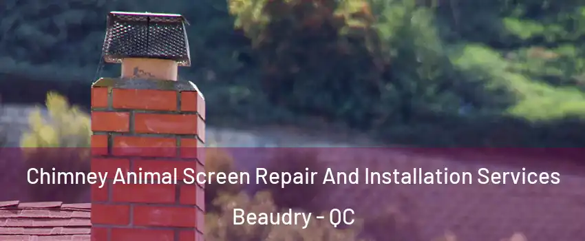  Chimney Animal Screen Repair And Installation Services Beaudry - QC