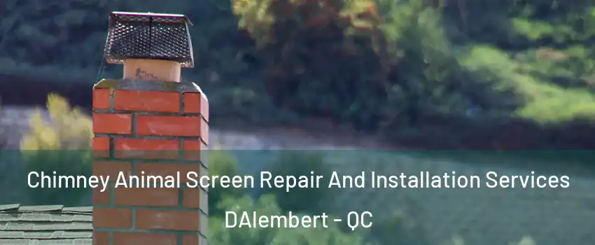  Chimney Animal Screen Repair And Installation Services DAlembert - QC