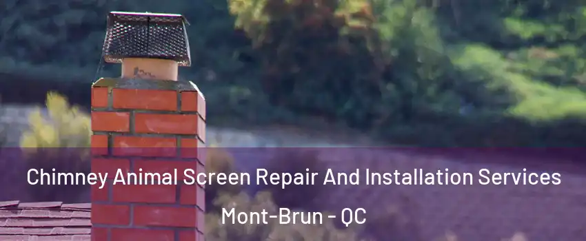  Chimney Animal Screen Repair And Installation Services Mont-Brun - QC
