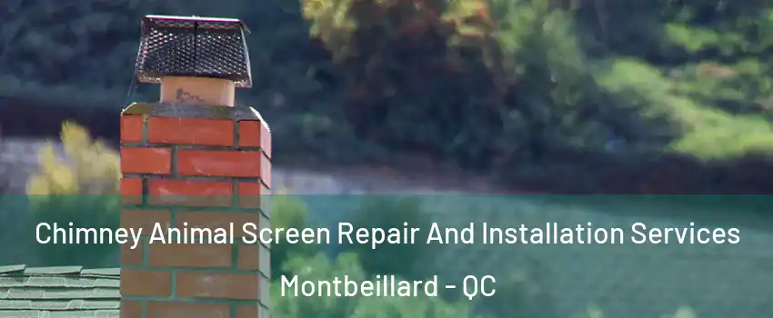  Chimney Animal Screen Repair And Installation Services Montbeillard - QC