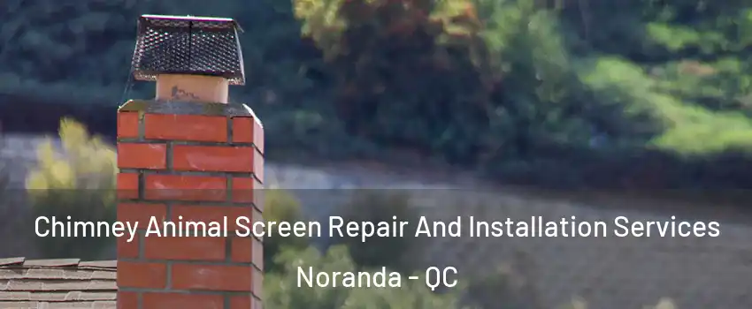  Chimney Animal Screen Repair And Installation Services Noranda - QC