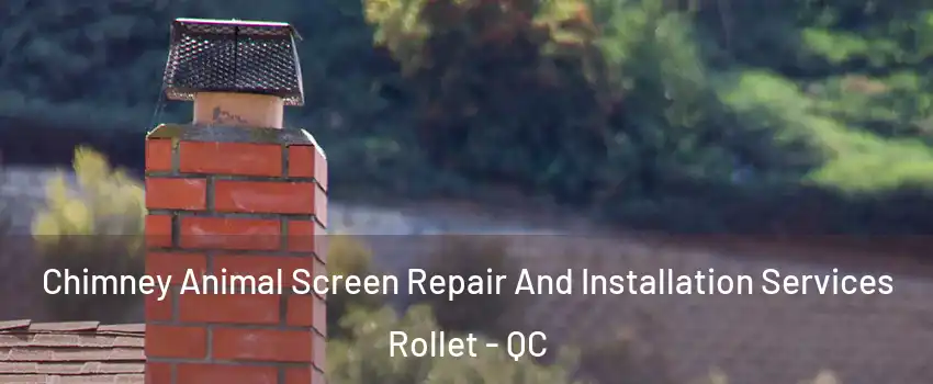  Chimney Animal Screen Repair And Installation Services Rollet - QC