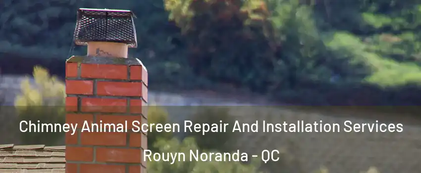  Chimney Animal Screen Repair And Installation Services Rouyn Noranda - QC