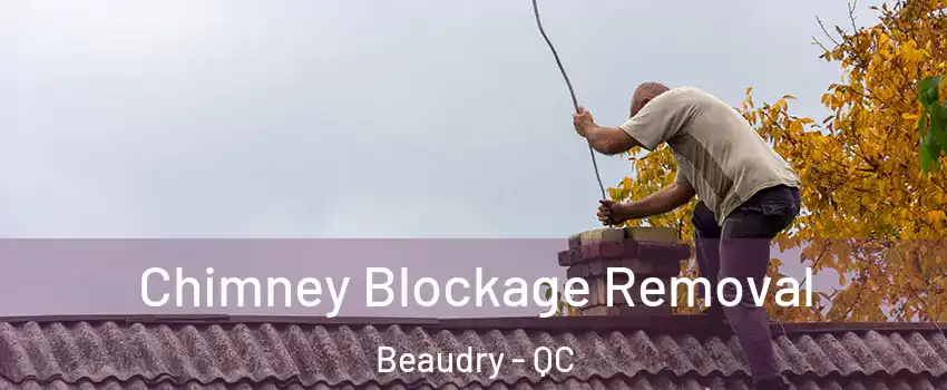  Chimney Blockage Removal Beaudry - QC