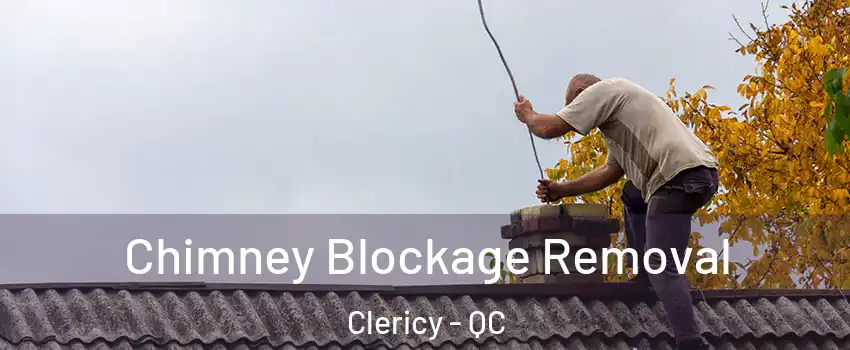  Chimney Blockage Removal Clericy - QC