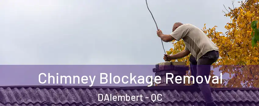  Chimney Blockage Removal DAlembert - QC