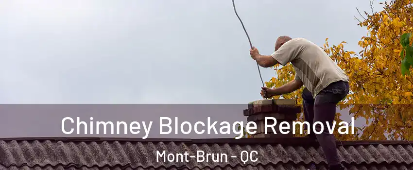  Chimney Blockage Removal Mont-Brun - QC