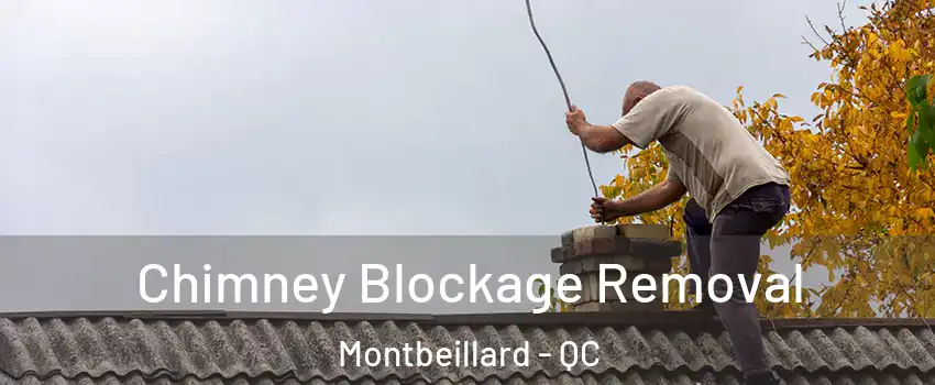  Chimney Blockage Removal Montbeillard - QC