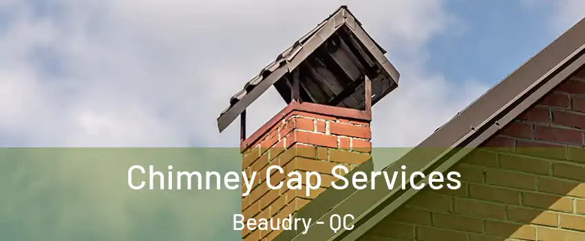  Chimney Cap Services Beaudry - QC