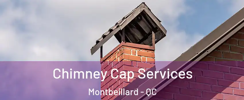  Chimney Cap Services Montbeillard - QC