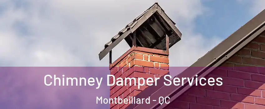  Chimney Damper Services Montbeillard - QC