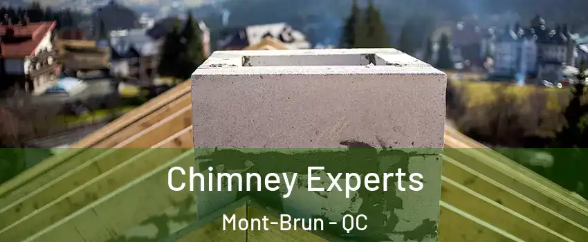Chimney Experts Mont-Brun - QC