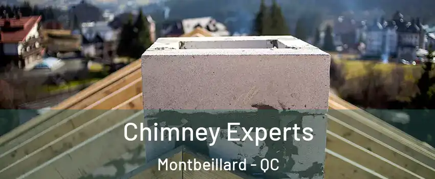 Chimney Experts Montbeillard - QC