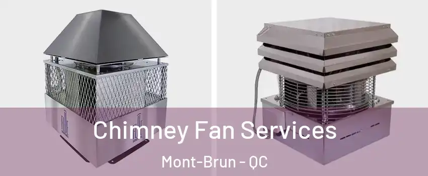  Chimney Fan Services Mont-Brun - QC
