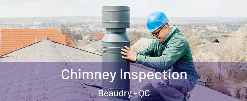  Chimney Inspection Beaudry - QC