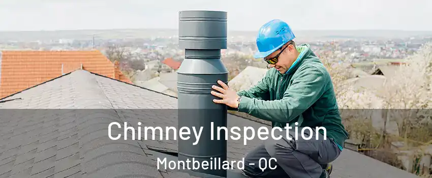  Chimney Inspection Montbeillard - QC