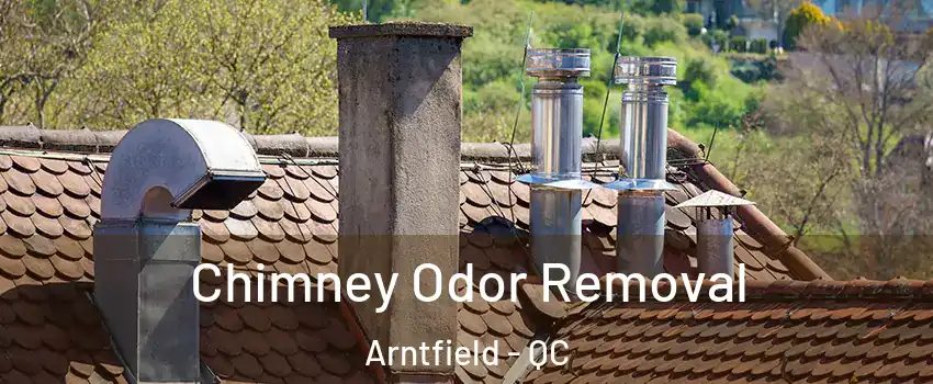  Chimney Odor Removal Arntfield - QC