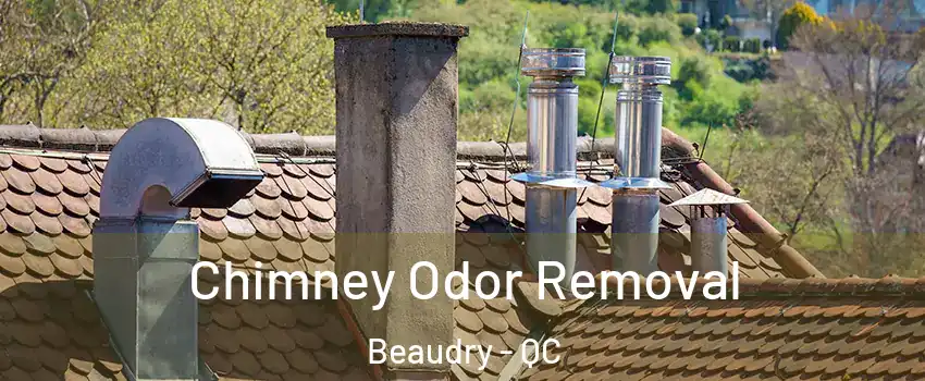  Chimney Odor Removal Beaudry - QC