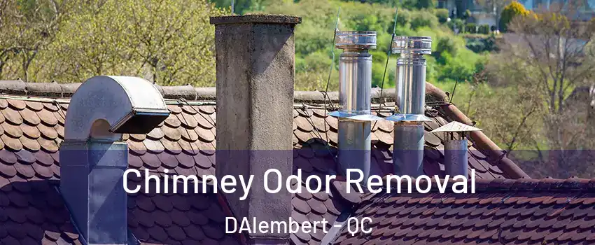  Chimney Odor Removal DAlembert - QC