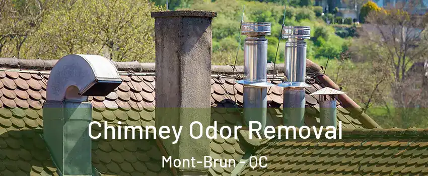  Chimney Odor Removal Mont-Brun - QC