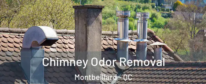  Chimney Odor Removal Montbeillard - QC