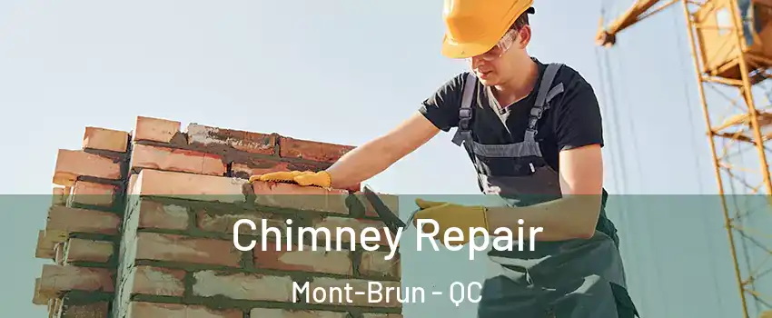  Chimney Repair Mont-Brun - QC