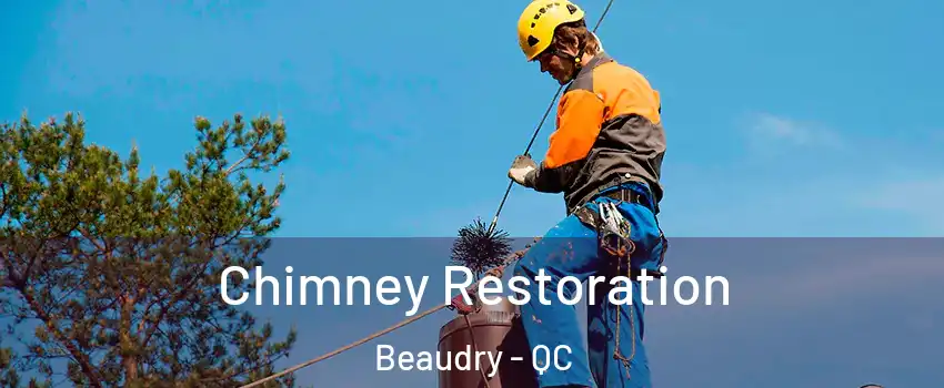  Chimney Restoration Beaudry - QC