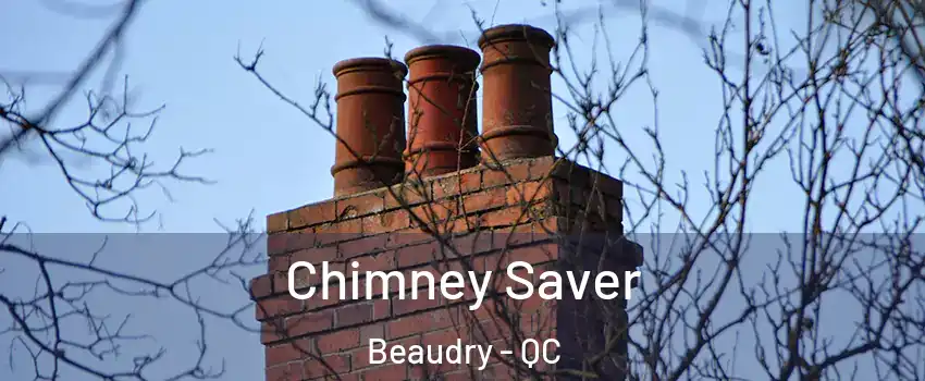  Chimney Saver Beaudry - QC