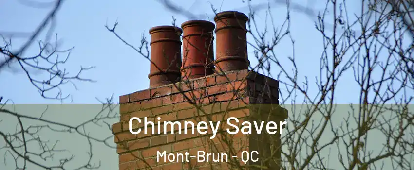  Chimney Saver Mont-Brun - QC