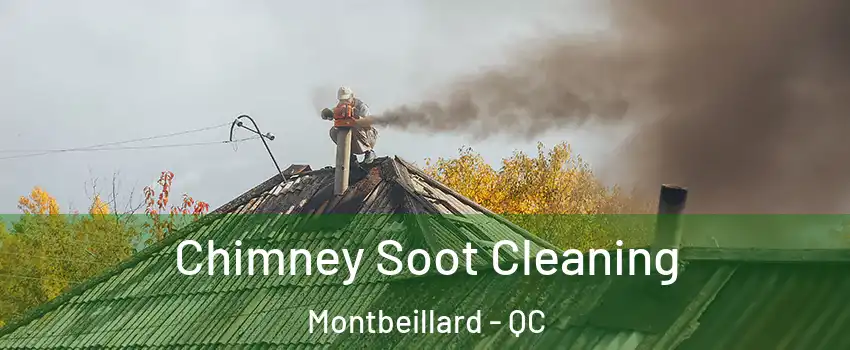 Chimney Soot Cleaning Montbeillard - QC