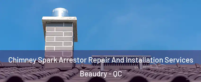  Chimney Spark Arrestor Repair And Installation Services Beaudry - QC
