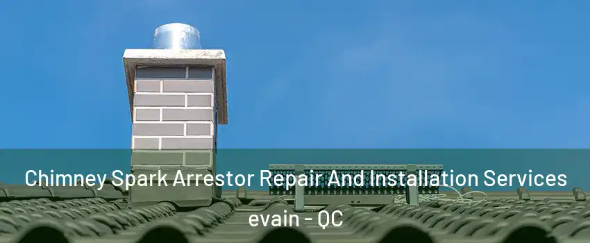  Chimney Spark Arrestor Repair And Installation Services evain - QC