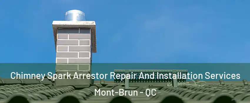  Chimney Spark Arrestor Repair And Installation Services Mont-Brun - QC