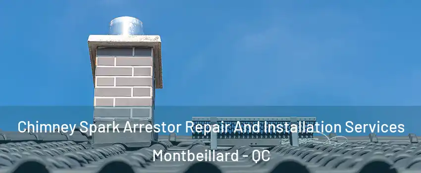  Chimney Spark Arrestor Repair And Installation Services Montbeillard - QC
