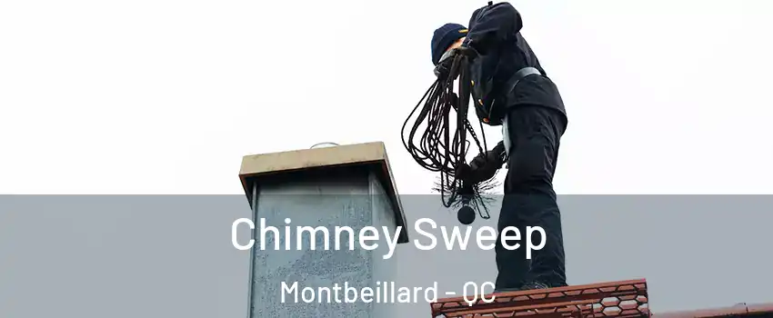  Chimney Sweep Montbeillard - QC