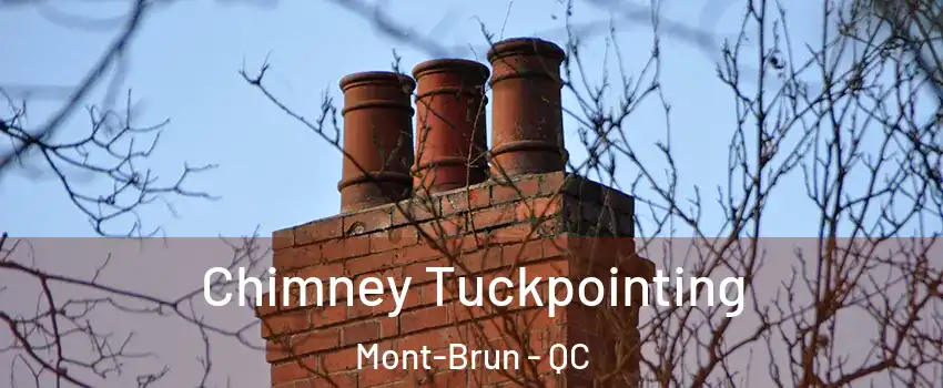  Chimney Tuckpointing Mont-Brun - QC