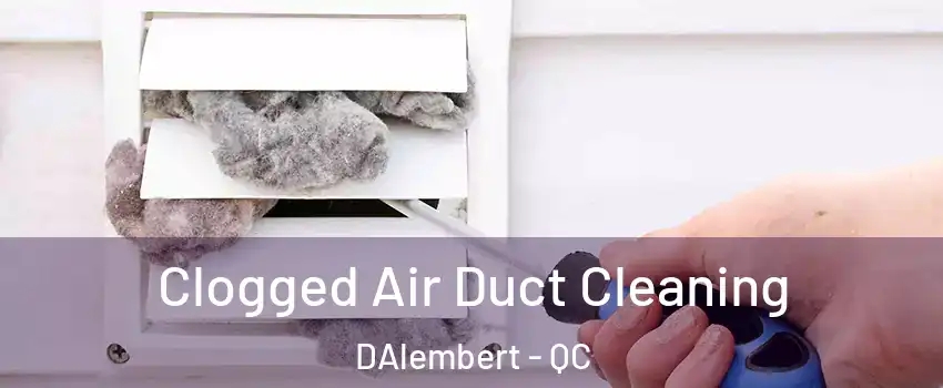  Clogged Air Duct Cleaning DAlembert - QC