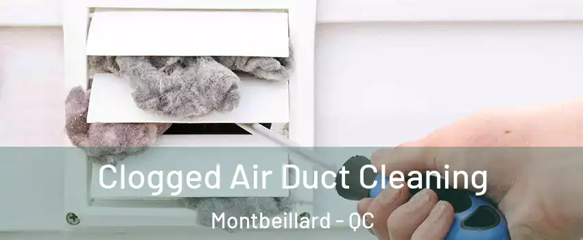  Clogged Air Duct Cleaning Montbeillard - QC