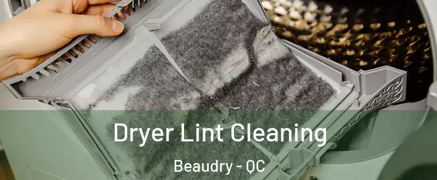  Dryer Lint Cleaning Beaudry - QC