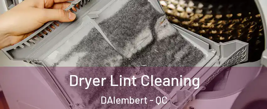  Dryer Lint Cleaning DAlembert - QC