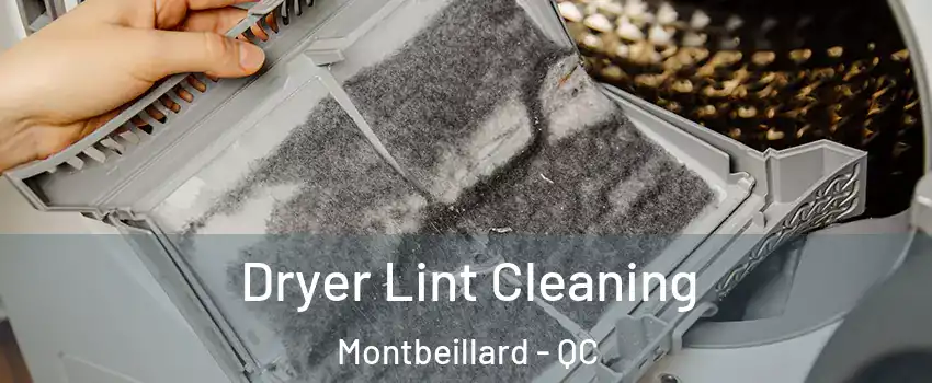  Dryer Lint Cleaning Montbeillard - QC