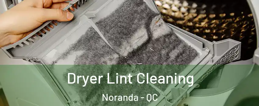  Dryer Lint Cleaning Noranda - QC