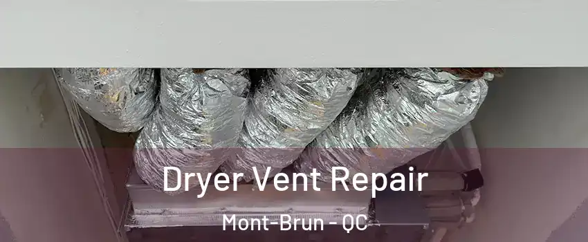  Dryer Vent Repair Mont-Brun - QC