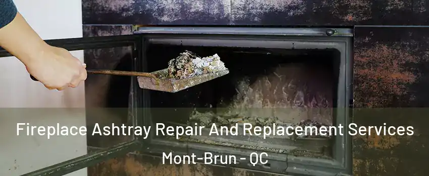  Fireplace Ashtray Repair And Replacement Services Mont-Brun - QC