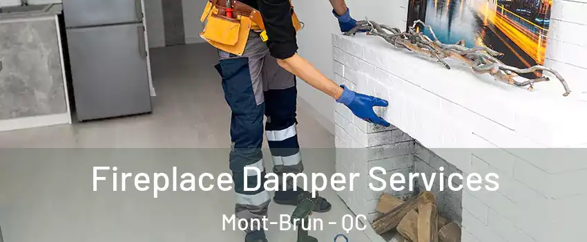  Fireplace Damper Services Mont-Brun - QC